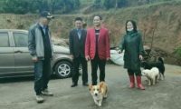 愿做菩萨那朵莲:她孤身一人,18年收留180条流浪狗……
