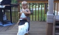 巴吉度猎犬挥动“小短腿” 邀请小主人共舞
