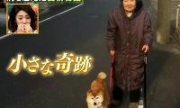 81岁奶奶与柴犬同患痴呆,住进养老院,重逢还记得彼此