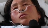 流浪猫狗救助者不堪网络质疑服药自杀,邻居:她救助猫狗好多年