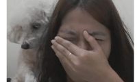 主人装作在狗狗面前伤心哭泣,狗狗做出的反应却让主人真暖哭
