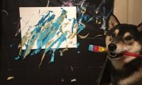 柴犬学会画画,还为主人赚了3万多,结果还供不应求
