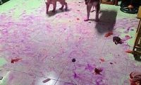 狗主人家下班了回到家,瞬间觉得血压升高:家里养狗子想立刻送出去!