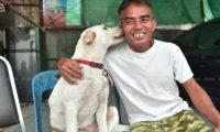 大叔找回走失爱犬，为庆祝，大摆流水席，路人村里人都招待