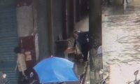 “当街打死金毛犬”事件调查:社区寻主人未果按流浪狗处理