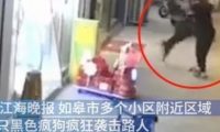 注意安全!江苏南通发现一条疯狗四处游荡，已咬伤21人