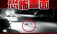 恶狗攻击男童致重伤：狗弱点在哪？被恶狗攻击时应该怎么办？