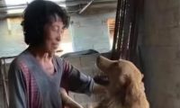 老人为救助流浪狗花掉80万，瘦成“纸片人”