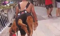 狗狗出来后总不愿回家，被主人家一招拿下，但界面却令人啼笑皆非！