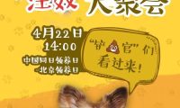 违规养狗会坐牢吗 | 铲屎官们注意了!违规养犬,你的爱犬会“坐牢”
