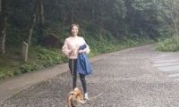 柴犬半路跳车乱入棒球场 主人看了当场傻眼