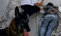 警犬帮忙找到走失3天的男子，被警察奖励一盆鸡腿，汪汪队立大功