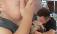 主人要把狗狗卖掉，孩子发现后，扑上来的动作，让父母很为难