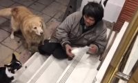流浪汉每天带仅有的馒头喂宠物狗 狗狗见到他就摇尾巴