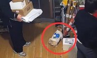 “它是我的家人！”宠物狗在店里撒尿，狗主人殴打店家，引发热议