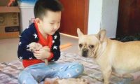 狗崽子和熊孩子打架斗殴，彼此的父母都很淡定从容啊，过后均称误解