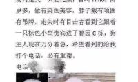 女子捡到狗向主人索要4500元，被曝光后称：等着给它收尸吧！