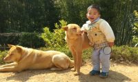 两劫匪夜里打劫加油站，英勇狗狗奋不顾身赶走劫匪，被赞忠犬