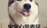 狗咬吕洞宾,不识好人心?狗:这个锅我背够了!