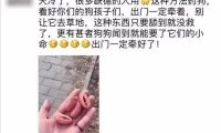朋友圈被『毒香肠』刷屏了养狗好几年,香肠毒死它却只要几分钟