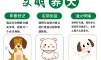 流浪狗咬伤孩童，民警将犬送往宠物救助站