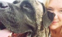 12岁老狗即将病逝，女子以这方式陪伴爱犬走过生命中最后一程