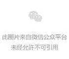 狗子长得很像“喝醉了酒”，网友：这很明显是喝高了！