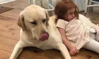 孩子与狗狗真的不能共存吗?看看国内外专家是怎么说的!