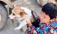 狗肉车上的狗狗求救儿子，妈妈将它买下来，当晚就给了他们惊喜！