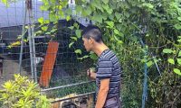 快递小哥自掏腰包建狗舍 收留数只流浪狗
