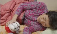奶奶将不久于世，她为了爱犬不愿接受治疗，爱犬也为她悲伤不已