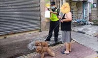 举报有奖！这些不文明养犬行为将被重点整治！