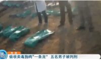 别拿别人的宠物当畜生！盗猫毒狗很残忍，更有可能违法