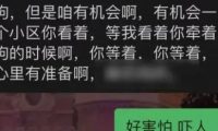 不栓狗绳的狗主人,在电梯里因宠物狗被叫“畜生”怒了?