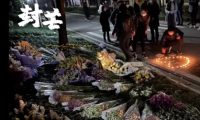 遛狗不牵绳闹出人命，“凶手”哪去了？后续出乎所有人意料