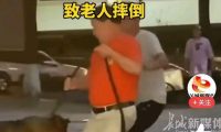 未牵绳小狗挑衅大狗被咬 男子踹狗致老人摔倒