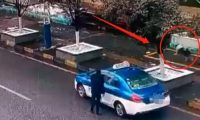 贵阳的哥当街“诱拐”宠物狗？狗主人：太气愤！不想赔偿，只想找到它