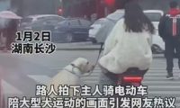主人骑电动车溜大型犬，拍摄者：“感觉特别暖心”