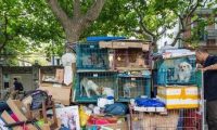 上海大叔离家拾荒住大街 乐当3000隻浪犬爸爸
