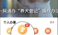 闵行首推犬只免疫和登记“一门受理”,狗狗也能体验“一网通办”