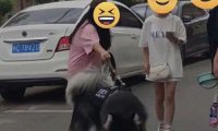 有多少狗被大学生遛“废”了？