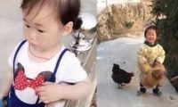 主人参加高考,把狗子交给乡下奶奶养