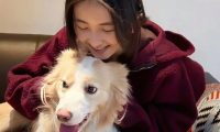 张子枫戏里戏外都收养了这只小狗，将温暖延续