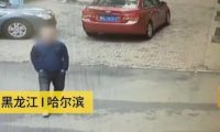 连二哈都偷?哈士奇独自遛弯,不料被出租车司机“顺手牵狗”
