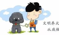 为期一个月，福山区开始对违规养犬进行专项整治