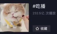 狗吃牛排、猫吃龙虾千万关注的宠物吃播是什么生意