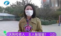 狗咬人事件后续：记者被气哭，当地部门进入调查，王新刚终于道歉