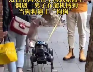 机器狗的宠物属性已经被挖掘出来了,已经有时髦人土开始在大街上溜机器狗了