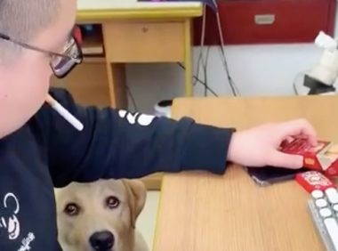 主人家在抽烟，狗狗看过也要来一根，给它后一脸疑惑表情：不能吃？