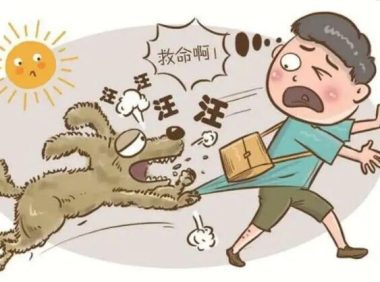 注意！铲屎官别忽视了，这都是狗狗得“狂犬病”的征兆